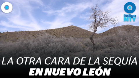 Nuevo León rural: la otra cara de la sequía | Indigo MTY