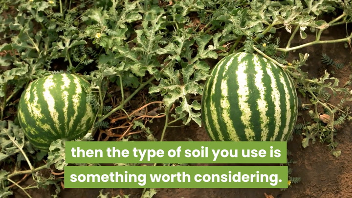 types-of-soil-for-organic-gardening (1080p).mp4