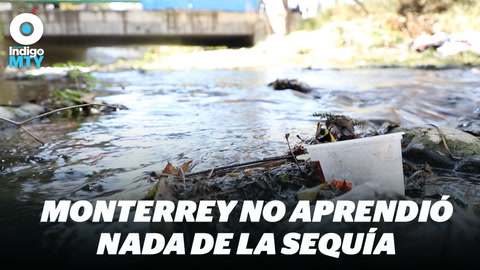 Basura y desperdicios ‘alimentan’ presa La Boca | Reporte Indigo