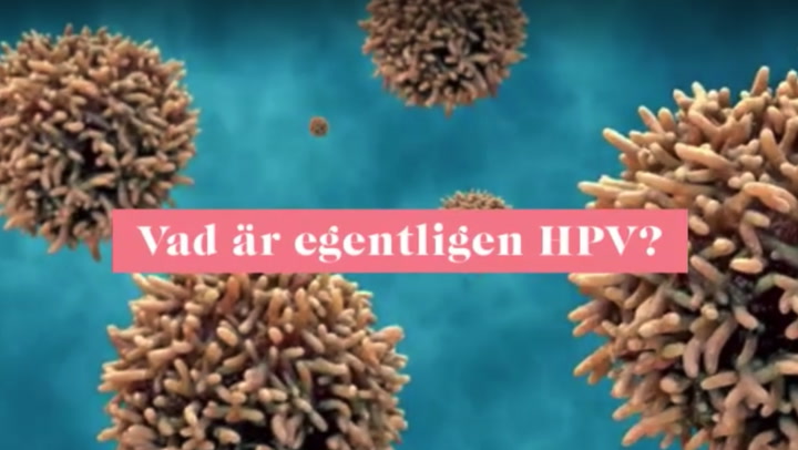(BAAAM) Vad är HPV?