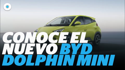 Conoce el nuevo carro eléctrico BYD Dolphin Mini I Reporte Indigo