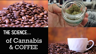 SCIENCE: Why CANNABIS and COFFEE go so well together!