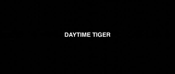 Daytime Tiger