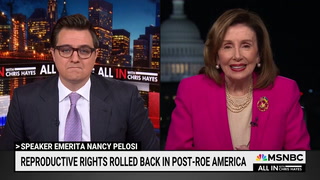 Pelosi: Republicans Need a 'Lesson in the Birds and the Bees'
