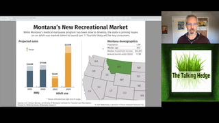 Montana's Cannabis Market Overview