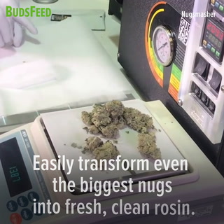 The Nugsmasher - Featured On BudsFeed