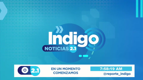 Reporte Indigo En Vivo 2022-04-04 at 12:58
