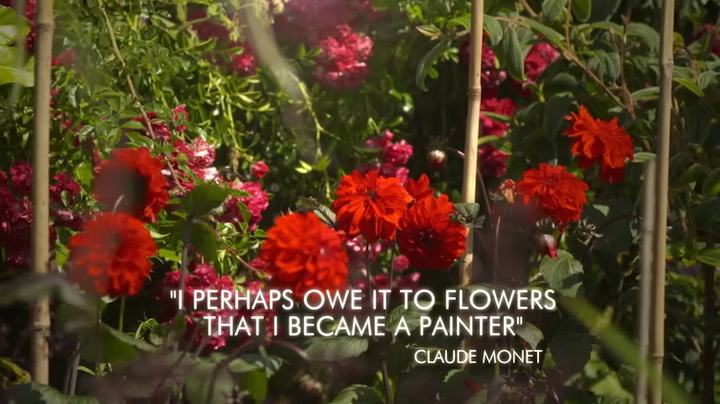 Exhibition on Screen: Painting the Modern Garden, Monet to Matisse