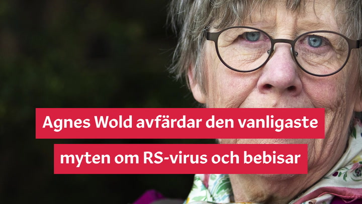Intervju: Agnes Wold avfärdar den vanligaste myten om hur RS-virus smittar bebisar