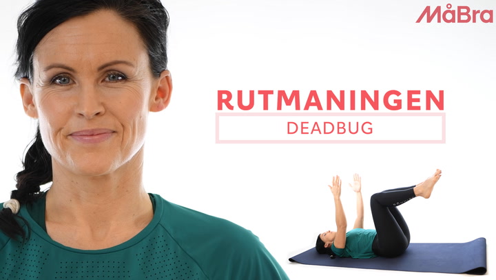 Rutmaningen – se övningen deadbug