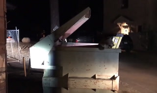 Deputies Rescue Bear Cub From Dumpster – Video