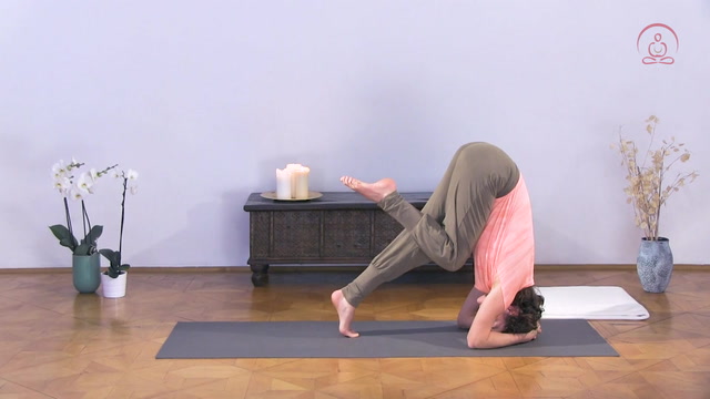 Yoga-Praxis für Anfänger 9