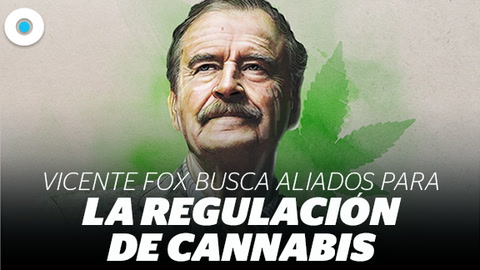 Vicente Fox busca aliados para la regulación del cannabis | Reporte Indigo
