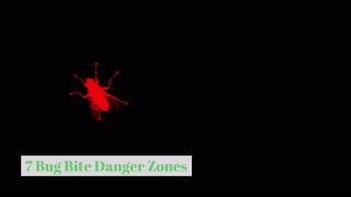 7 Bug Bite Danger Zones