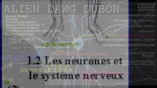ALIEN DAWG DE DUBON L'ÉLECTRO POT 01