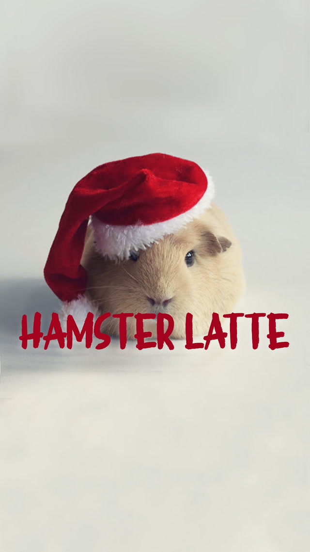 Hamster Latte'nin yılbaşı telaşı
