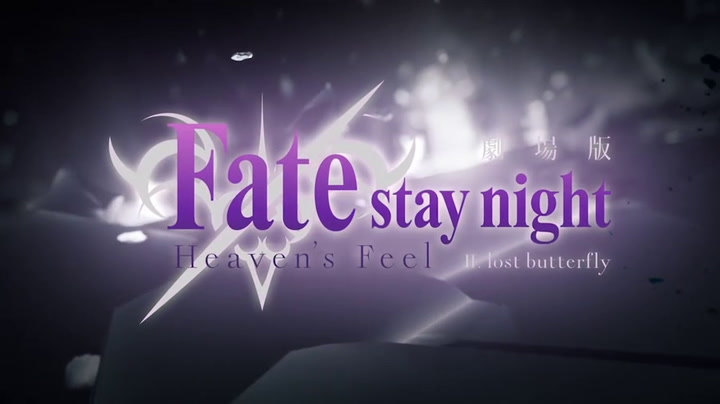 Fate/Stay Night: Heaven's Feel II. Lost Butterfly