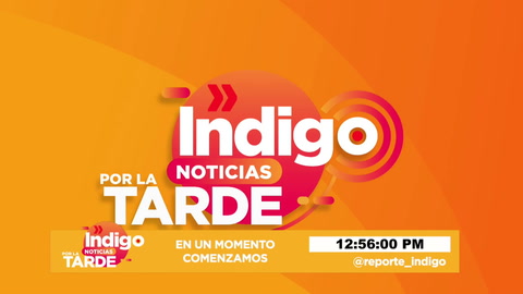 Reporte Indigo En Vivo 2022-04-04 at 17:55