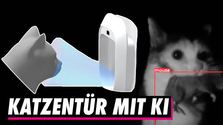 Schweizer Start-up Flappie entwickelt Katzentür mit KI
