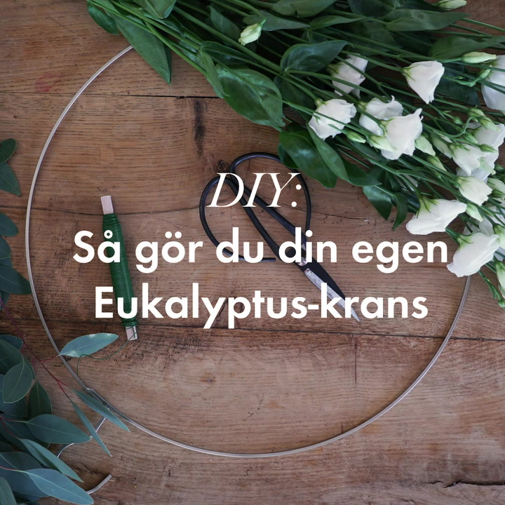 DIY: Så gör du din egen Eukalyptus-krans
