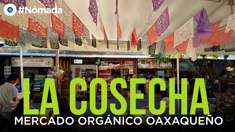 La Cosecha, un pedacito de pueblo en Oaxaca | #Nómada