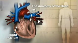 Doctors Jose Nazari, Wes Fisher and Alex Ro discuss atrial fibrillation, what causes it and how it can be treated.
