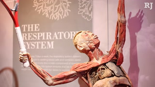 Real Bodies exhibit adds coronavirus info