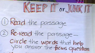 Keep it or Junk it: A Student-Run Lesson
