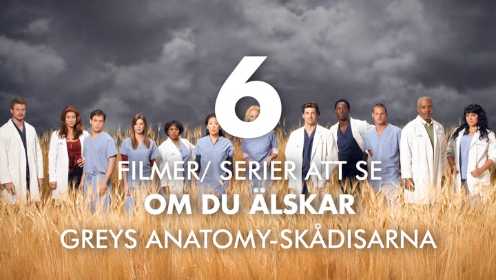 6 filmer eller serier att se om du älskar Greys Anatomy-skådisarna