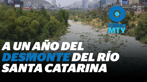 El impacto ambiental a un año del desmonte del Río Santa Catarina en NL | Reporte Indigo