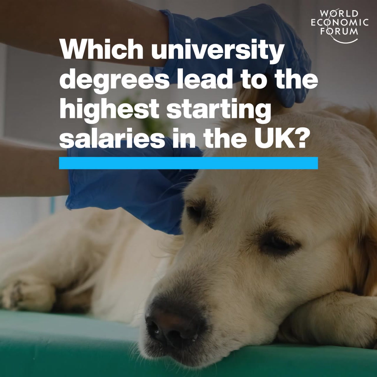 These are the University Degrees With Highest Starting Salaries In The UK |  World Economic Forum