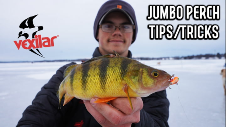 How to Catch Mud Basin Perch Ice Fishing