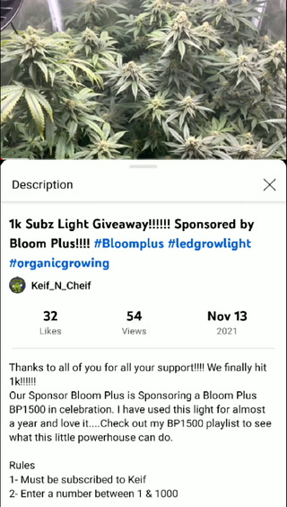 #keif_n_cheif #BloomPlusBP1500w 1K Subz Grow Light GiveAway 2021