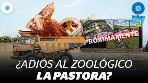 El incierto futuro del zoológico de La Pastora | Indigo MTY