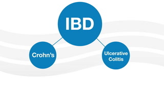 Dr. Eugene Yen give an overview of IBD, covering symptoms and who is at risk.