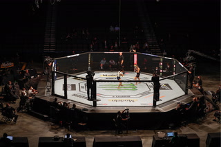 UFC and Top Rank Boxing Approved to Host Events in Las Vegas – Video