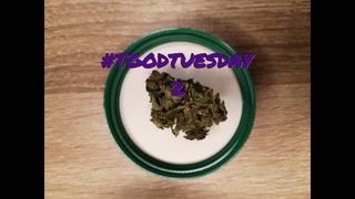 Tron's Kron: TGODTUESDAY 2 -Solstice 2 Organic Legal Cannabis Review