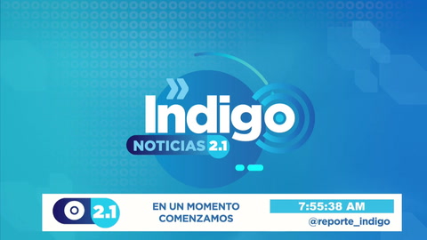 Reporte Indigo En Vivo 2022-03-31 at 13:55