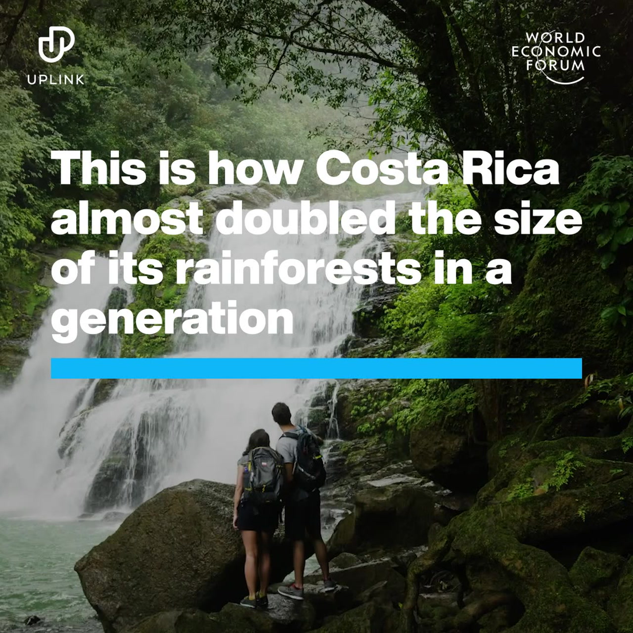 This Is How Costa Rica Almost Doubled The Size Of Its Rainforests In A  Generation