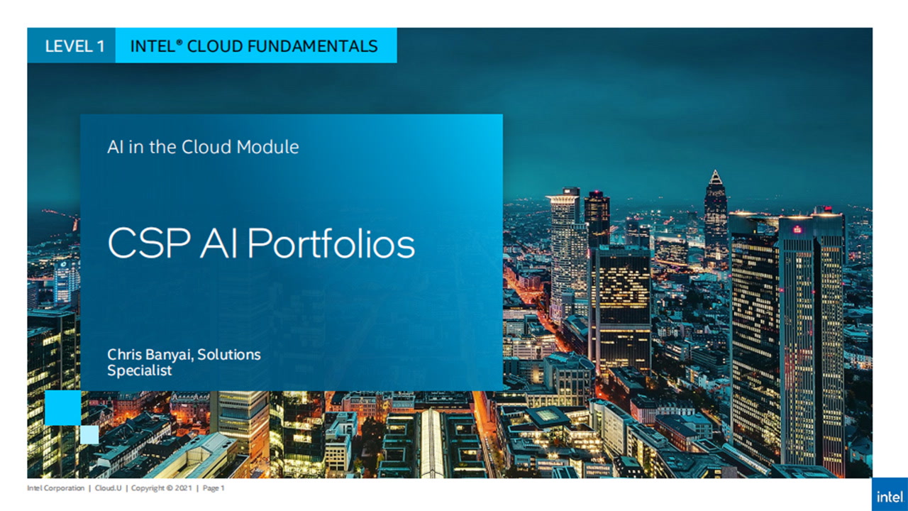 Cloud Service Provider AI Portfolios