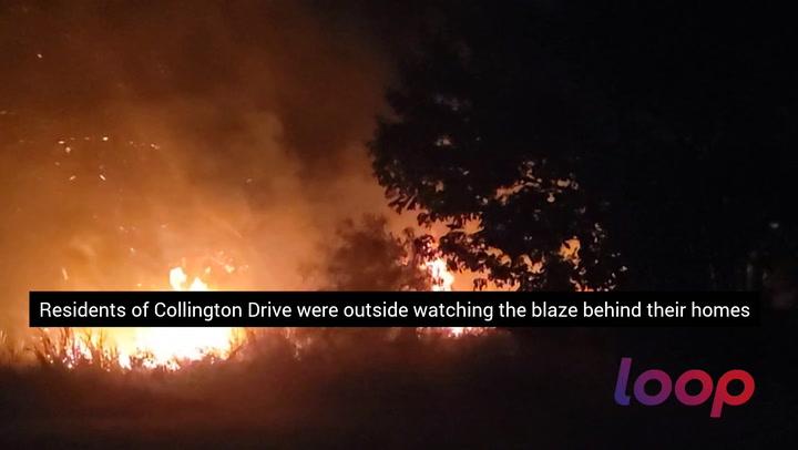 VIDEO: Grass fire near Cave Land extinguished