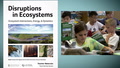 Ecosystems: An NGSS-Designed Unit