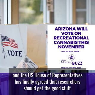 ARIZONA WILL VOTE ON RECREATIONAL CANNABIS THIS NOVEMBER | TRICHOMES Morning Buzz