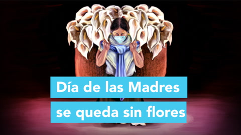 Día de la Madre sin flores | Reporte Indigo