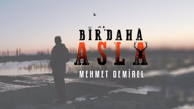 Bir Daha Asla - Mehmet Demirel