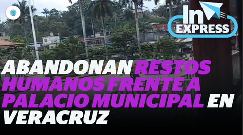 Abandonan restos humanos frente al Palacio Municipal en Veracruz  I Reporte Indigo