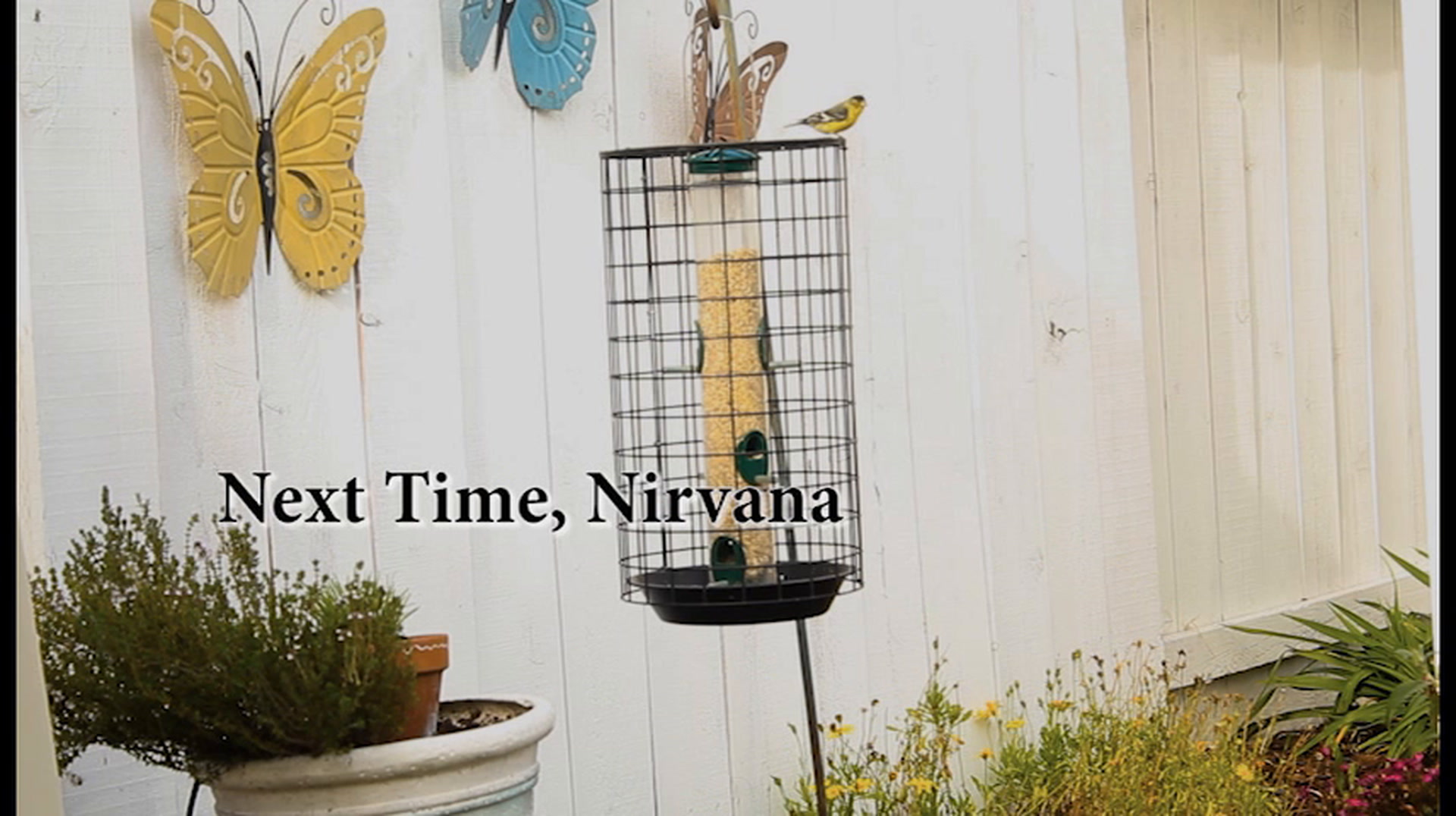 Next Time, Nirvana