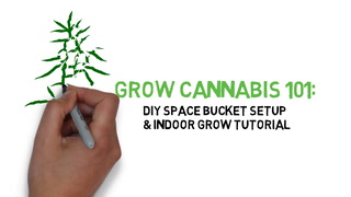 Grow Cannabis 101: Building a Space Bucket & Indoor Grow Tutorial