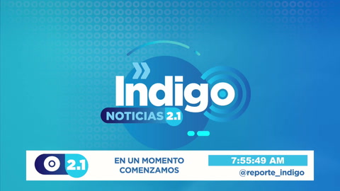 Reporte Indigo En Vivo 2022-03-22 at 13:55