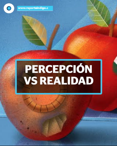 Percepción Vs. Realidad  | Reporte Indigo